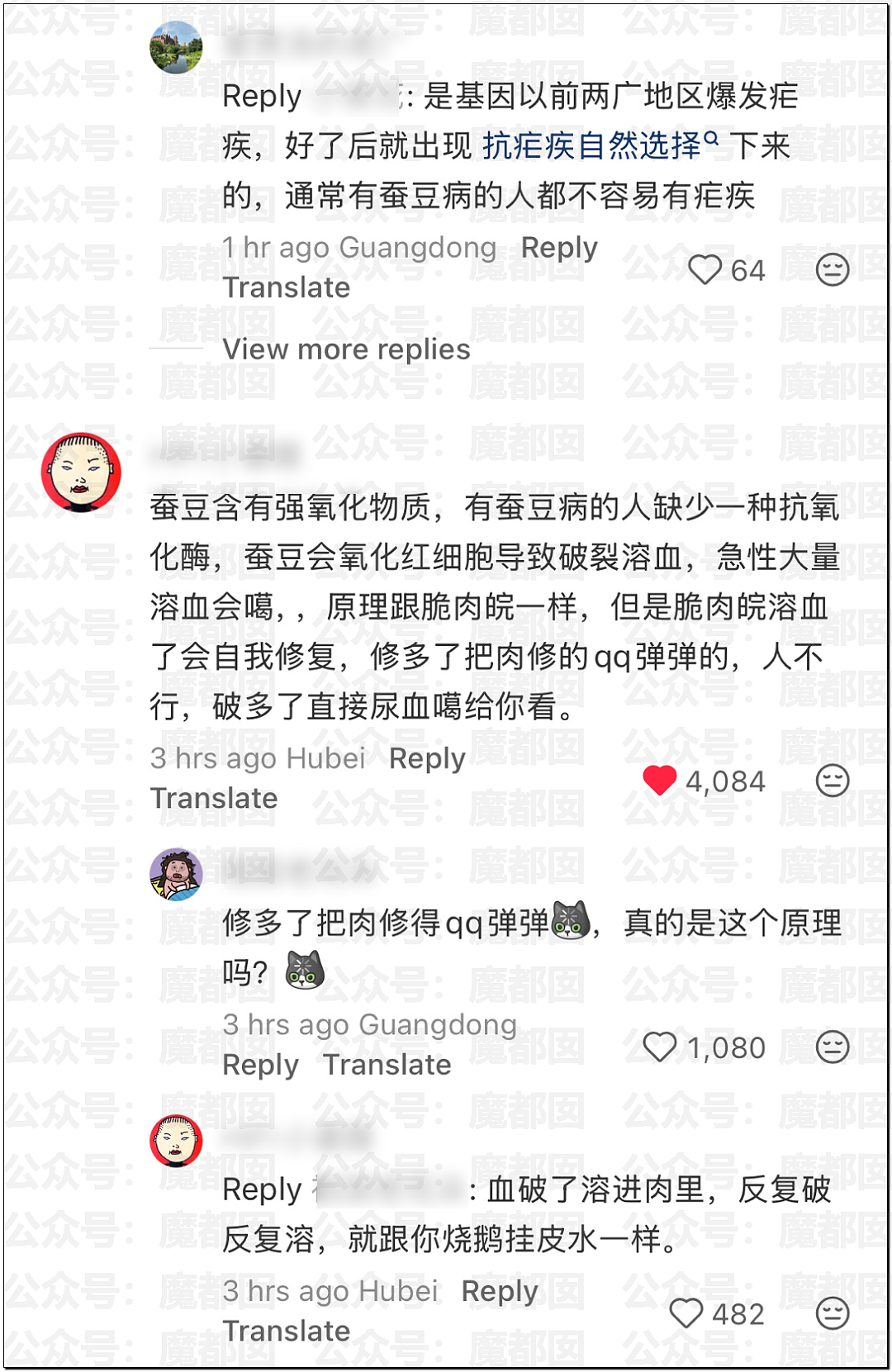 震撼！竟然不是所有人都能吃蚕豆！可能严重到溶血死亡（组图） - 8