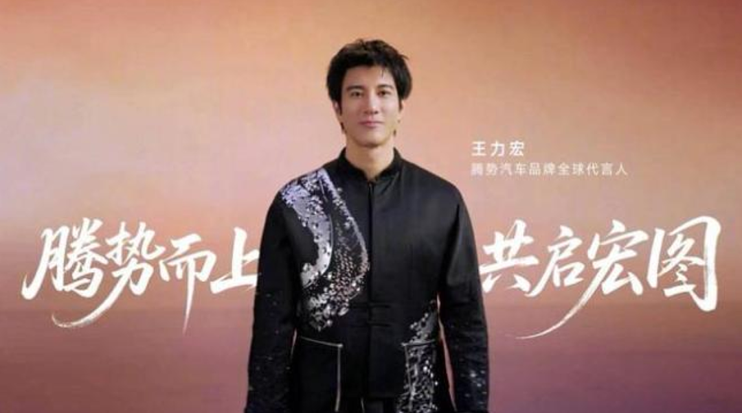上千万代言费，王力宏：全拿来买比亚迪的股票了 - 6
