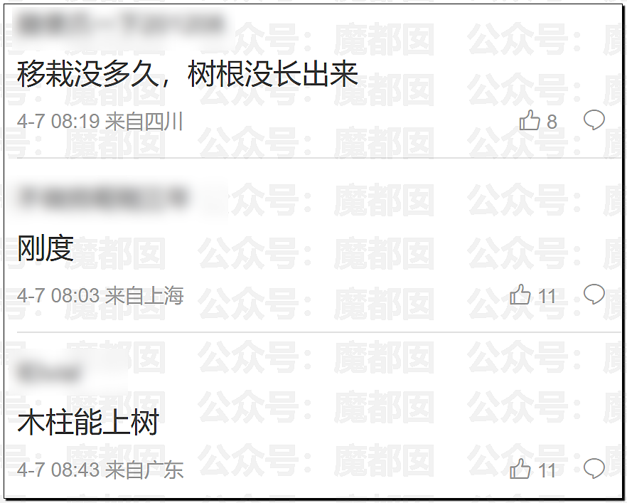 华语顶流天王周杰伦被扒疑似多处抄袭?!(组图) - 33