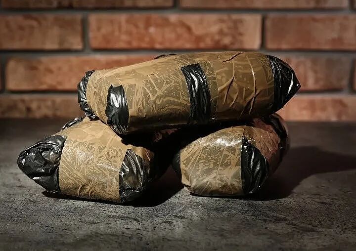 毒贩把毒品丢进海里，结果喂出一群“嗑药鲨”？1/3都吸了啊？！（组图） - 5