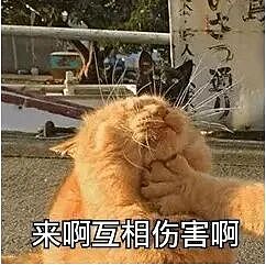 日本博主印度游因拒绝给钱惨遭泼“牛粪”!住院4天,顿顿被咖喱暴击,悲提15万的账单!(组图) - 1