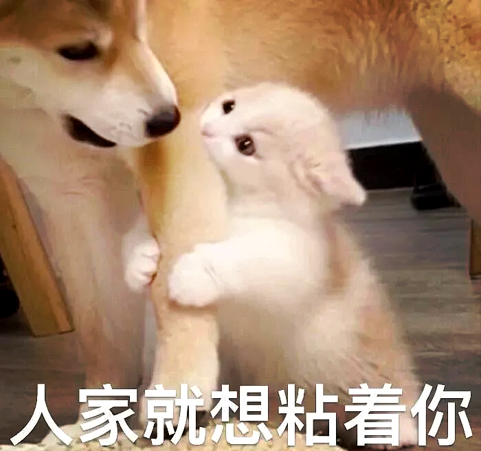 明码标价、线上选妃、多人服务… 深扒新加坡暗网灰色产业链内幕(组图) - 3
