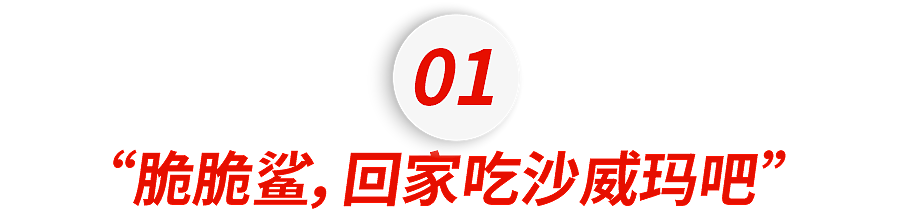 “中国留学生吵架战斗力有多强?” 哈哈哈包让老外破防的(组图) - 3