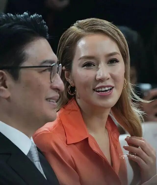 港圈震动！徐子淇神隐3年王者归来！9年生4胎站稳脚跟，从“千亿儿媳”到“豪门主母”，43岁的她，活成人生赢家！ - 23