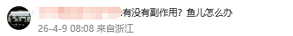 冲上热搜!西湖连续一周撒7吨漂白粉,杭州官方回应 - 5