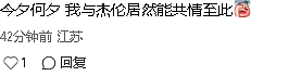 “带娃带疯的感觉！”周杰伦新歌《女儿殿下》引华人家长热议（组图） - 7