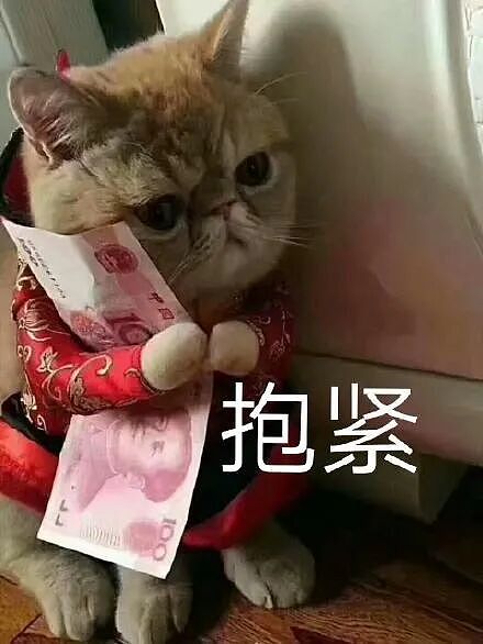 亏光2亿卖惨求生, 拳王夫妻“一夜返贫”！人到中年最忌讳什么？（组图） - 16