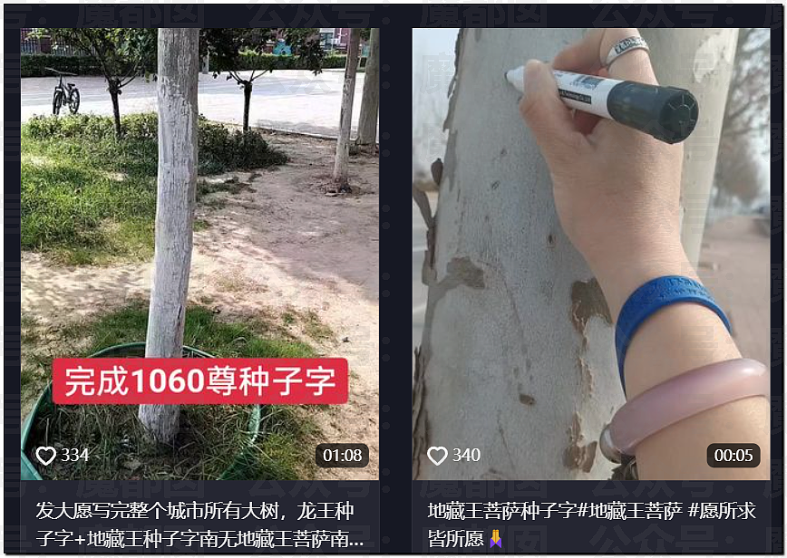 惊悚!全国各地树上忽然集中出现大量诡异奇怪符号!真相是? - 43