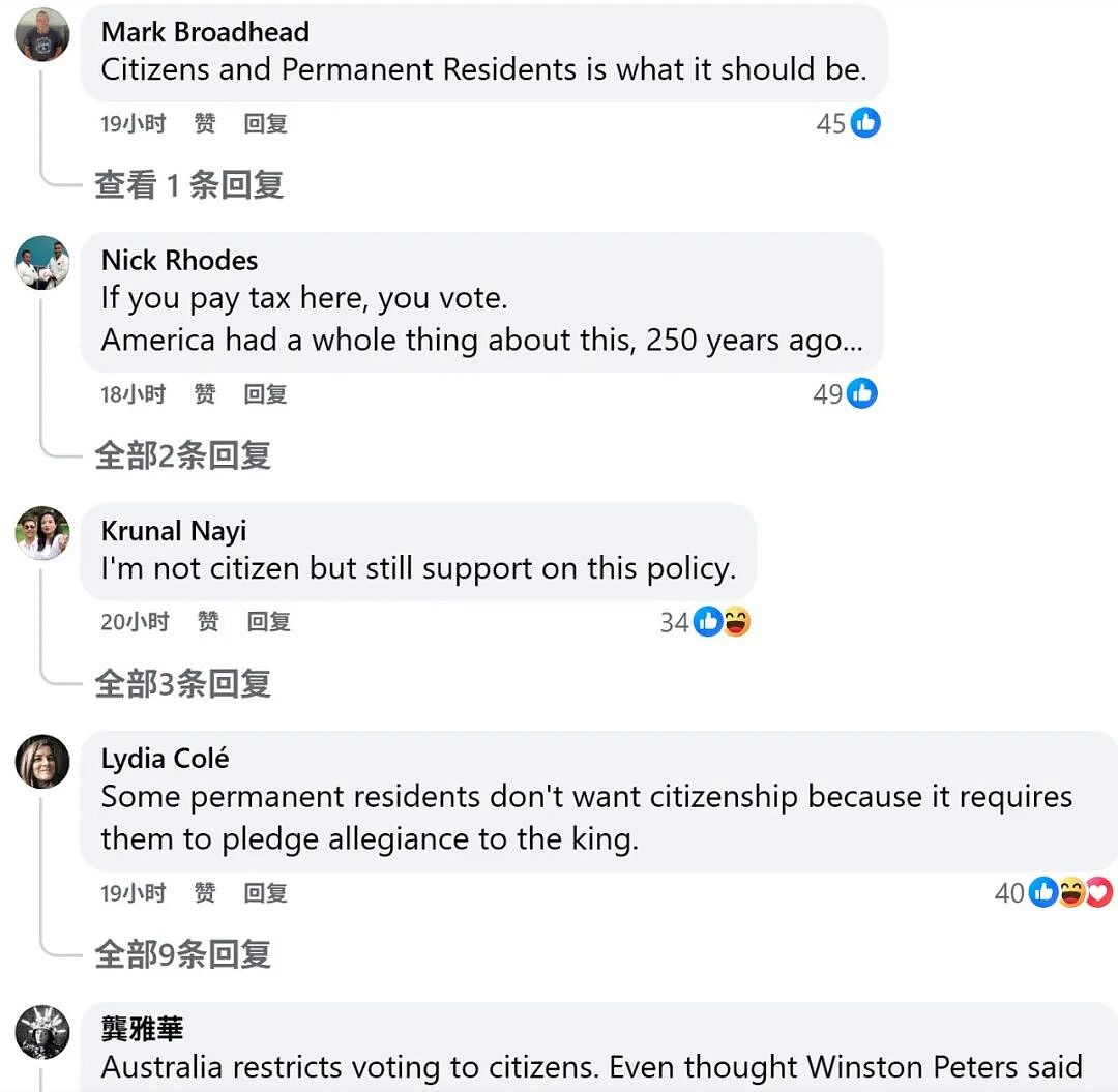 “取消PR投票权!”新西兰一党派突放大招,移民社区炸了:“那不用交税了?”(组图) - 10