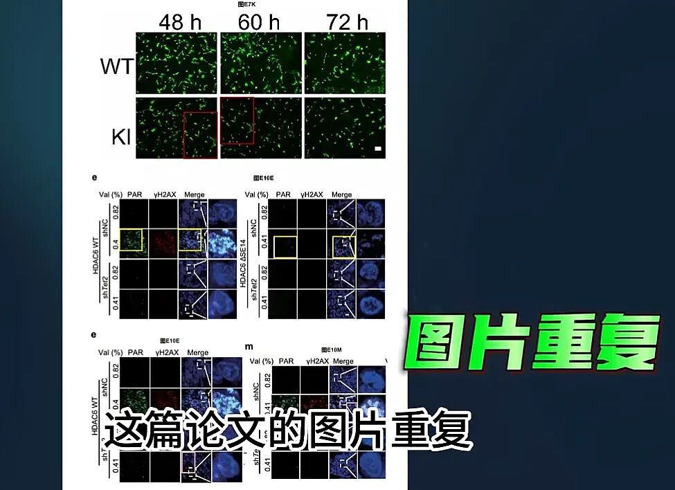 中国学术圈暴雷，985教授顶刊论文“翻车”！百万经费恐打水漂（组图） - 4