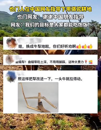 为了教老外种地,中国人操碎了心 - 9