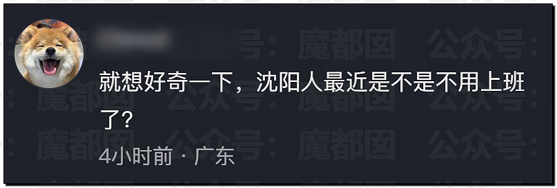 突发反转!甜美天才少女蒋方舟被撤销学位!B子立牌坊终于崩塌! - 29