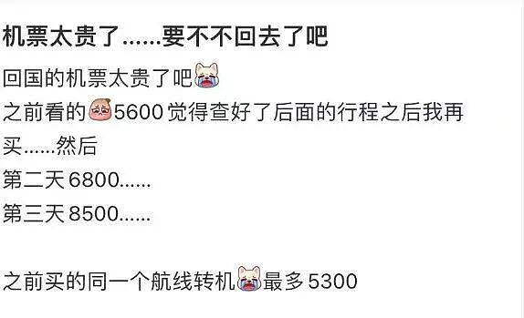 暑假回国机票涨疯了!几周翻3倍,一夜再涨20%,很多华人已经不敢再看价格了...(组图) - 9