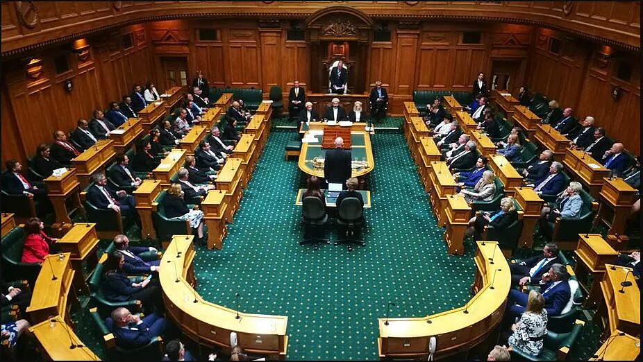 重磅！新西兰四大政党官宣华人候选人！华人力量“大爆发”！37岁华裔党魁或成“造王者”，支持率飙升！最新民调出炉！ - 21