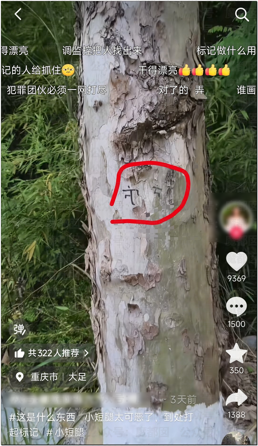 惊悚!全国各地树上忽然集中出现大量诡异奇怪符号!真相是? - 32