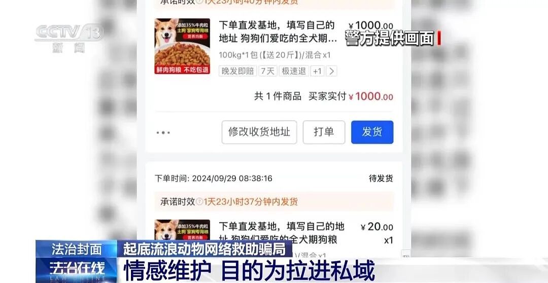 央视曝光动物救助直播骗局：低价买残疾狗卖惨摆拍，骗了250万仅3000元用在狗身上，平台投流60多万，其余大部分用于买豪车等挥霍 - 11