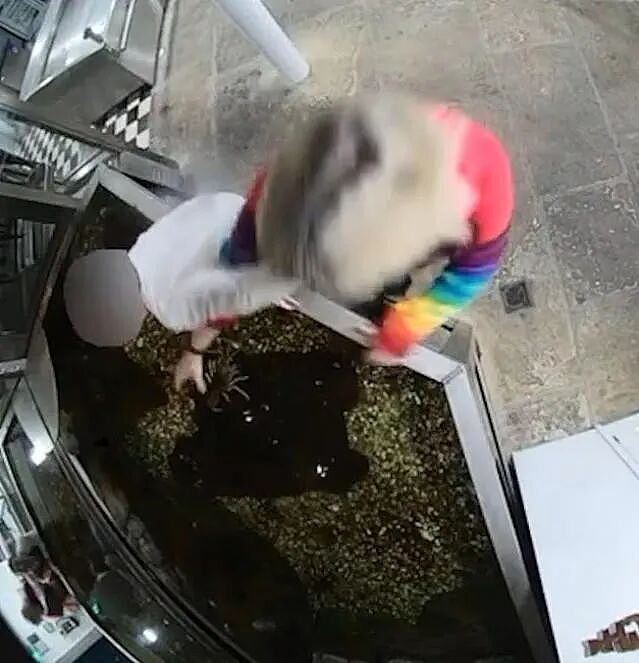 离大谱！大妈冲进餐厅强行放生龙虾，结果人家是宠物，直接被她救死了...（组图） - 4