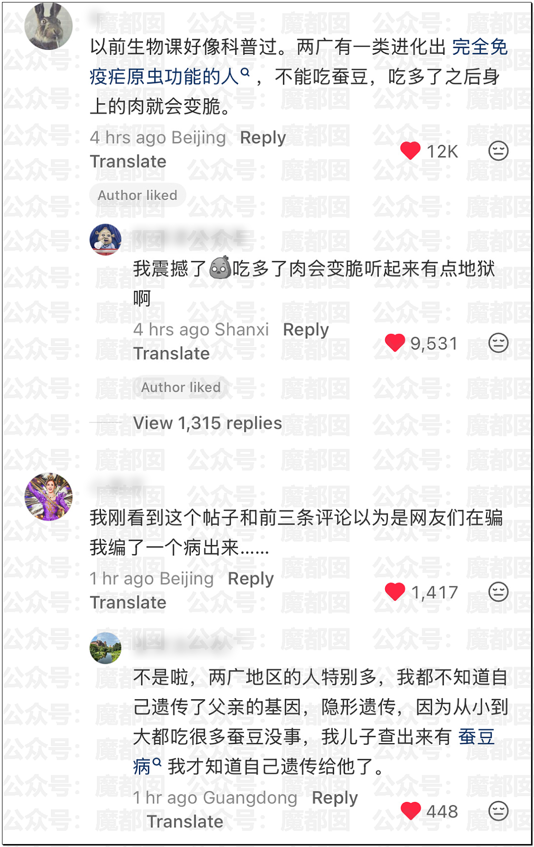 震撼！竟然不是所有人都能吃蚕豆！可能严重到溶血死亡（组图） - 7