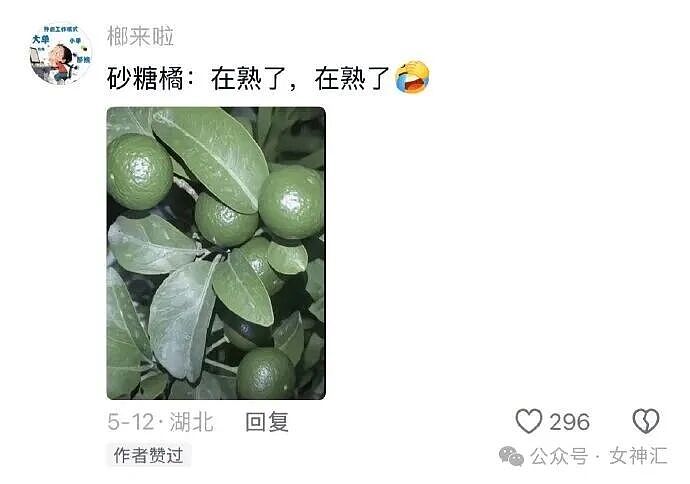 相亲对象竟是宋仲基?场面太尴尬了!网友笑喷:媒婆不上网吗?(组图) - 37