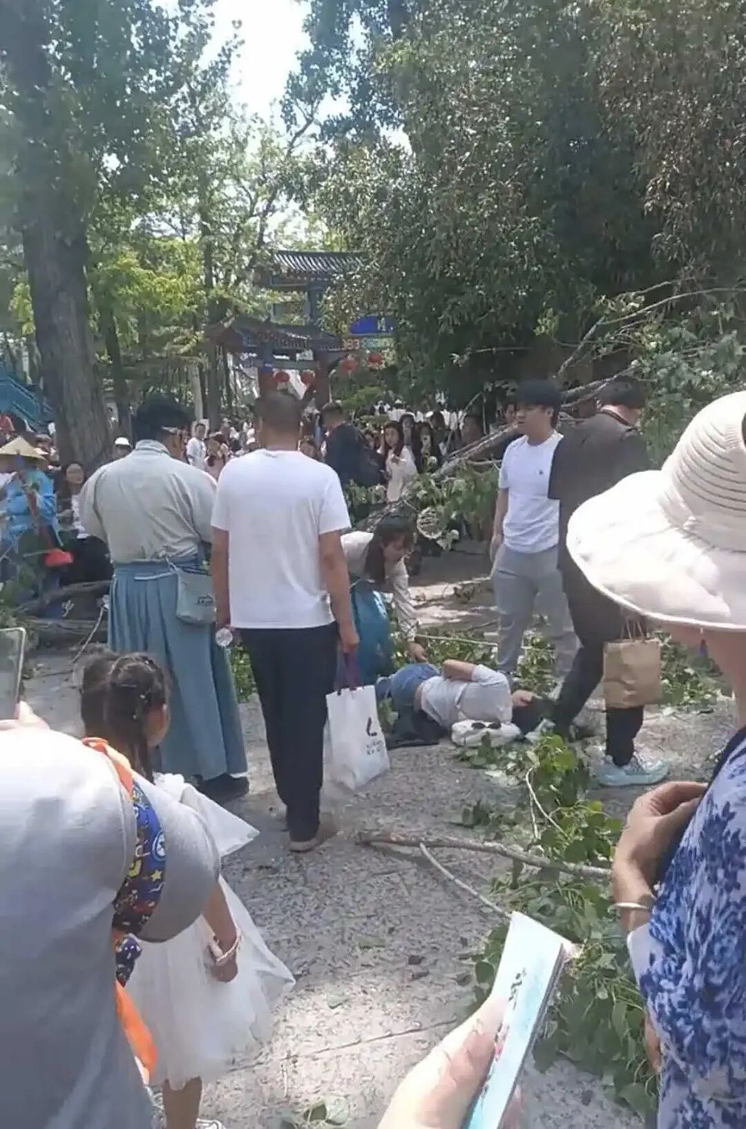 突发大风!河南开封景区大树折断砸伤3人,现场游客紧急逃生(组图) - 3