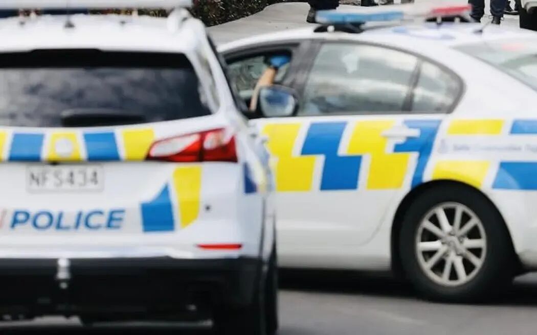 深夜狂飙逃亡！奥克兰男子被电击+警犬制服，车内惊现枪弹（组图） - 3