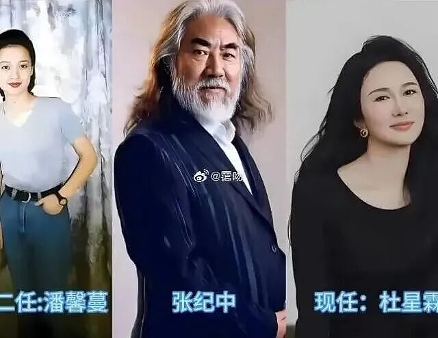 张纪中被曝婚内转移千万资产给小31岁现任 - 3