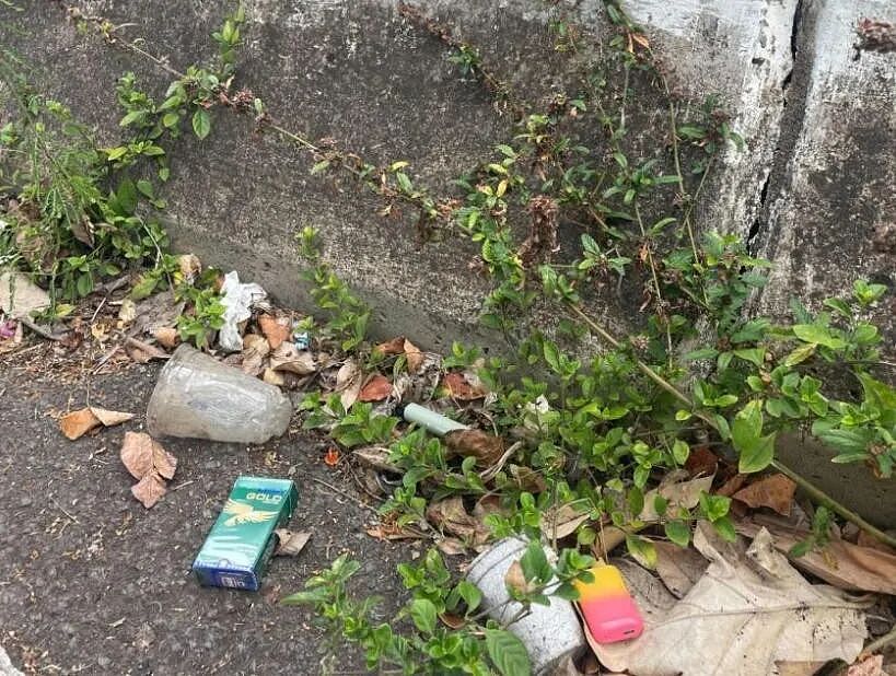 松鼠狂吸电子烟?被水果味吸引,结果被害惨了...(组图) - 5
