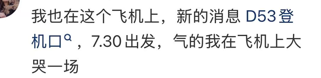 惊魂!回国航班突然掉头,万米高空排油紧急迫降!华人大哭机长崩溃...(组图) - 8