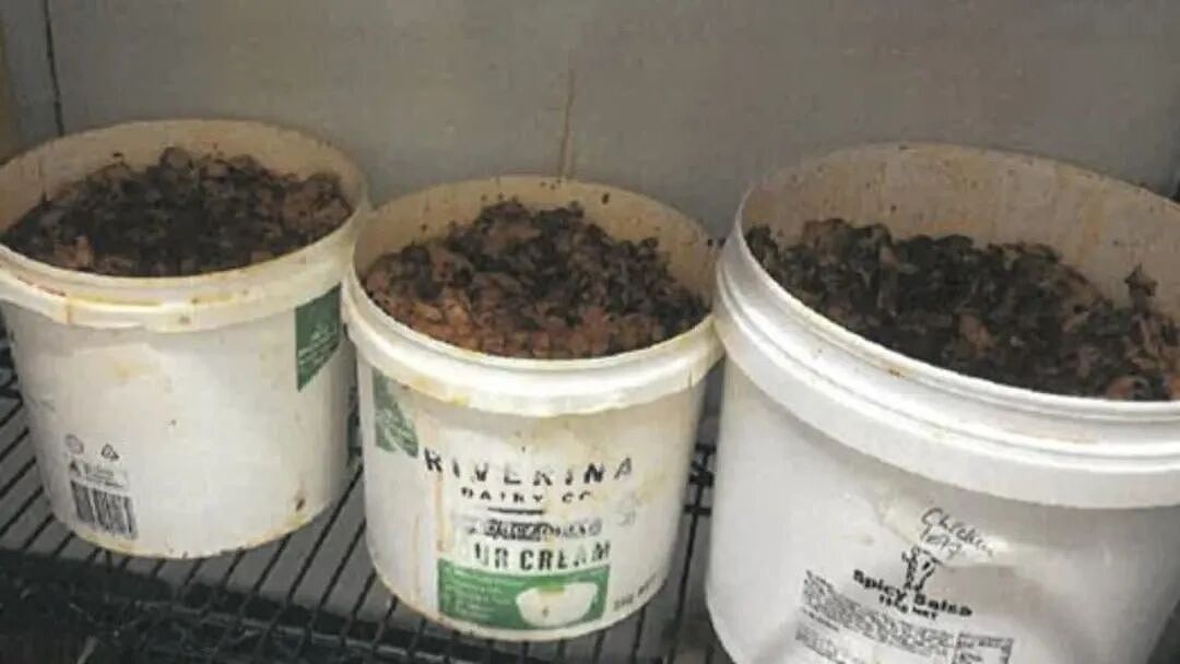 墨东区餐厅被勒令关门，却拒关！老鼠屎老鼠尿污染食物，还有50人定位（组图） - 3