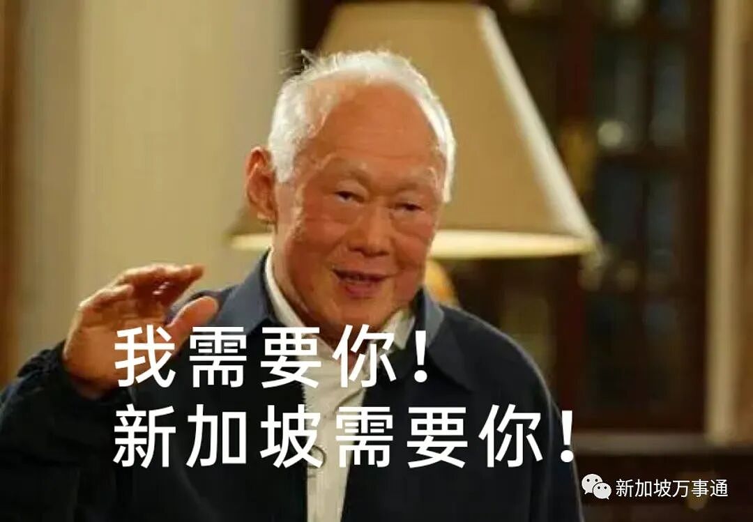 新加坡富豪自曝被“黄循财总理”骗走$490万！总统、众政商部长也被迫入局...官方紧急发声 - 16