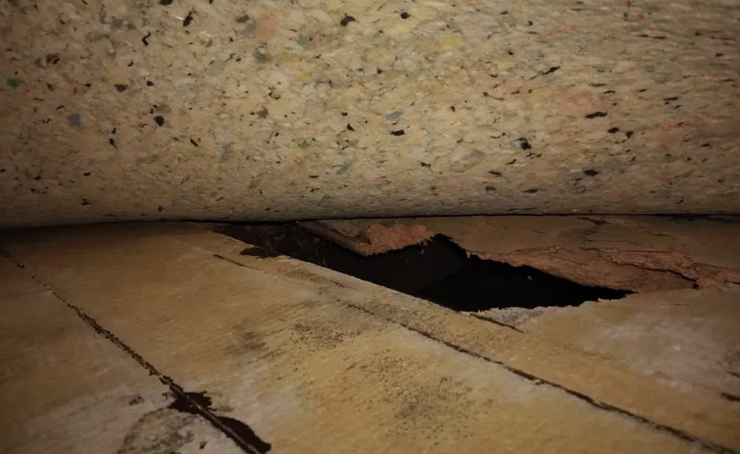 5年暴增500%!新西兰电力公司投诉创历史新高!老牌零食巨头巨亏5920万纽币!租客怒了!新西兰房东违规被判赔近8000纽币!分期还到9年后! - 7
