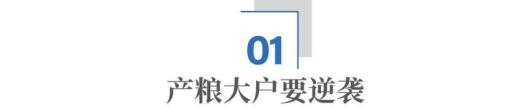 全球卡姿兰大眼睛“制造基地”：山东这个小城，凭什么？ - 3