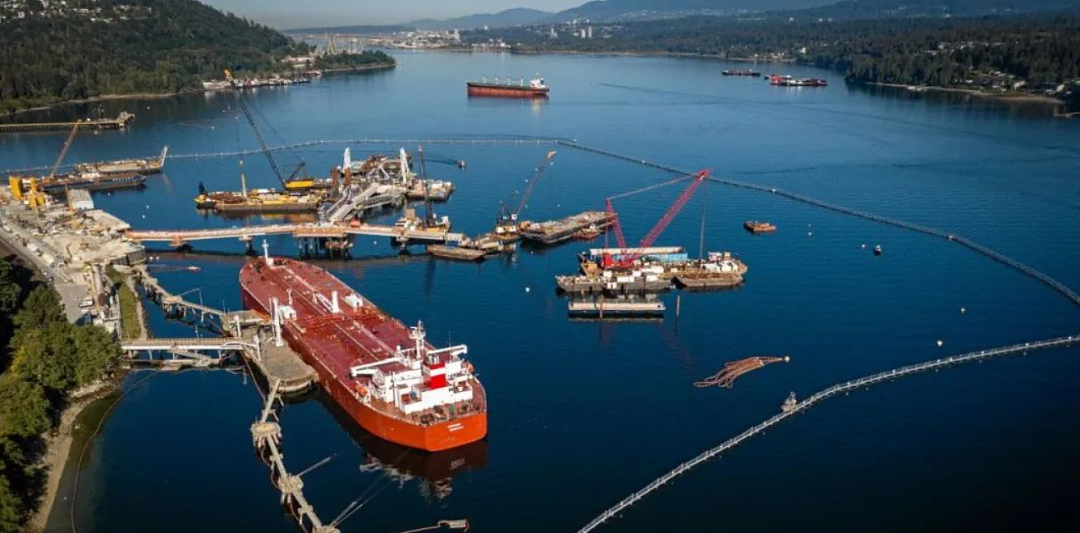 特鲁多让加拿大损失1万亿！加拿大人怒了（组图） - 4