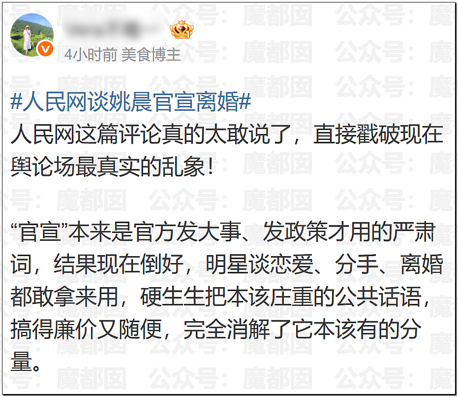 刺激！姚晨再次要凉？人民网下场怒批其官宣离婚实则另有目的（组图） - 11