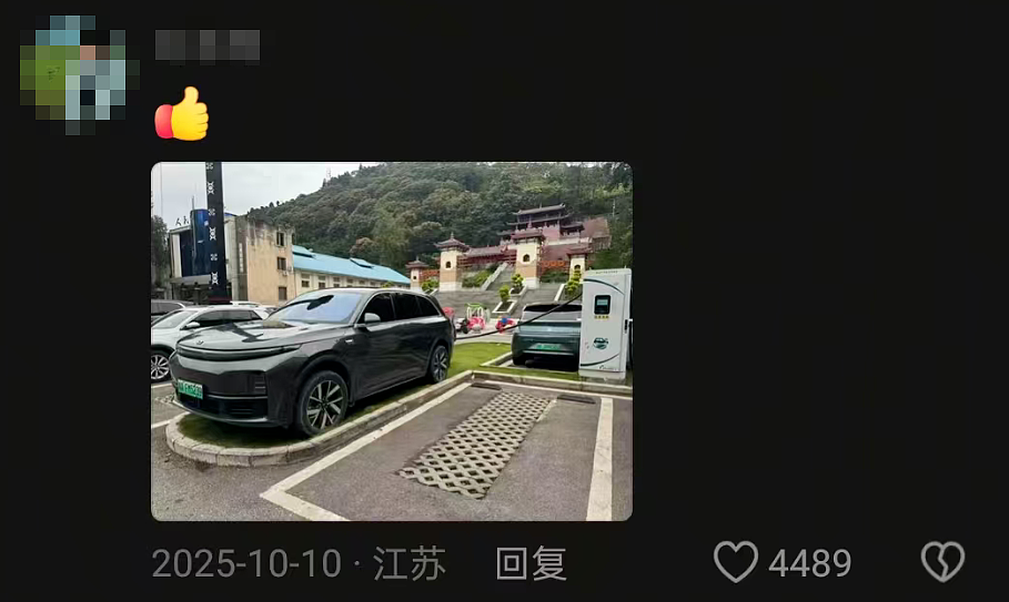 爆粗口的李想，拖了理想后腿（组图） - 9