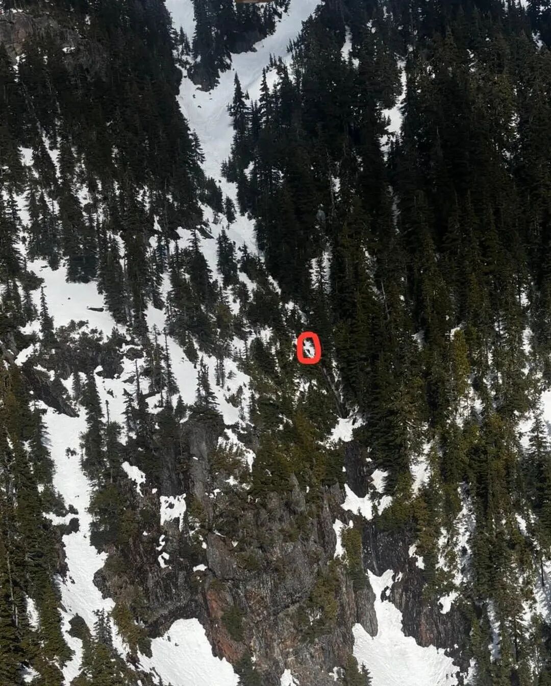 悲剧！华人游客北美登山，为救同伴坠落百米身亡！家属背上天价账单：ICU一天1.8万（组图） - 4