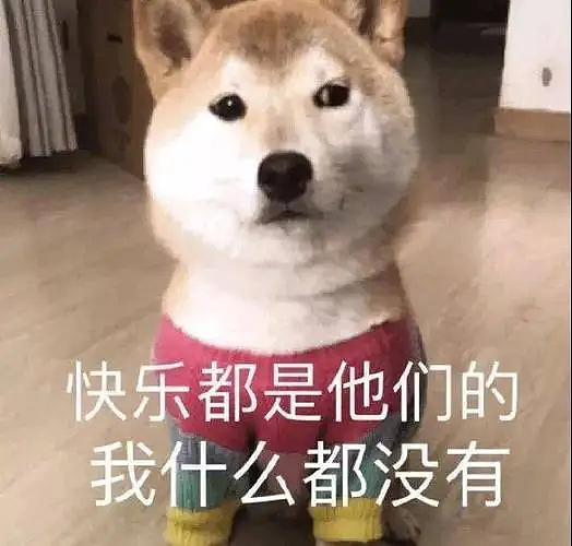 中产留子们毕业后回国的三大结局 - 1