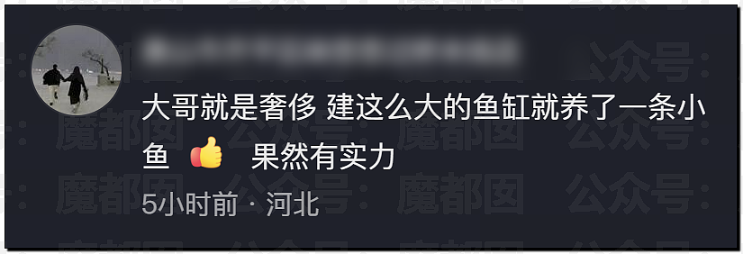 突发反转!甜美天才少女蒋方舟被撤销学位!B子立牌坊终于崩塌! - 36