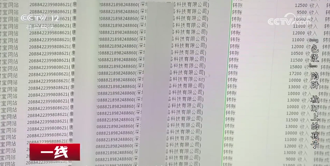 央视曝光色情漫画陷阱:境外团伙围猎青少年,虚拟货币洗钱30多人被抓(组图) - 3