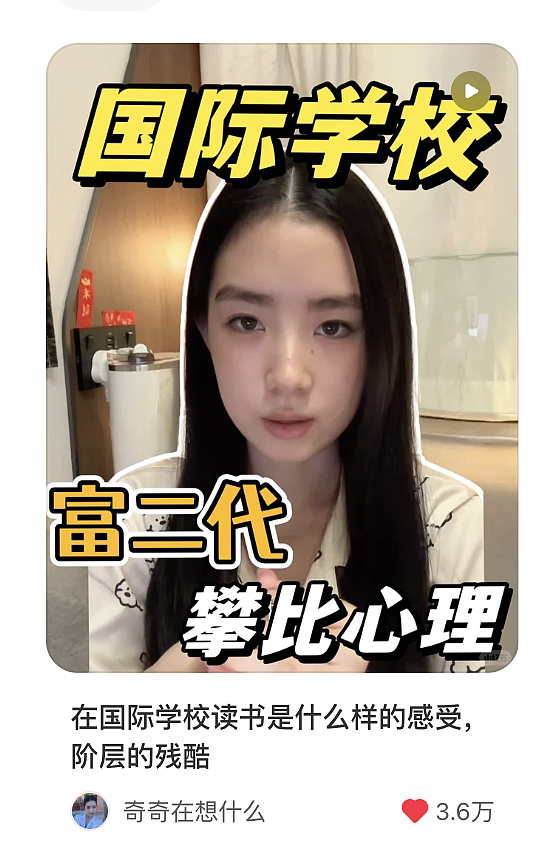 中产孩子, 误闯国际学校「豪门圈」 - 3