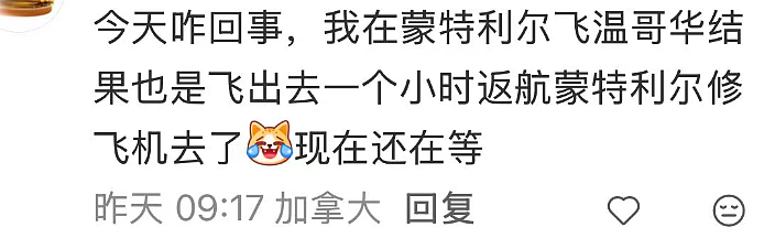 惊魂!回国航班突然掉头,万米高空排油紧急迫降!华人大哭机长崩溃...(组图) - 10