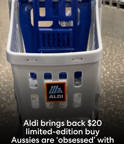 重磅回归!Aldi人气儿童商品重新上架,价格不变,19刀 - 1