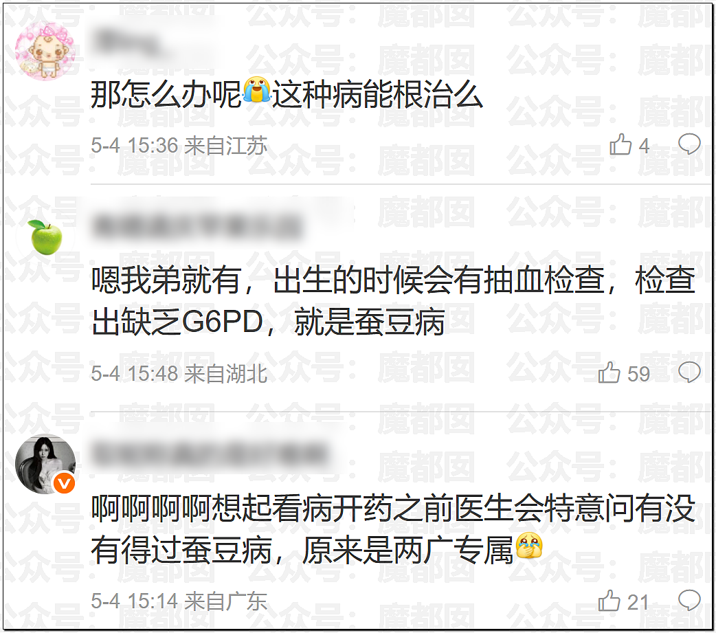 震撼！竟然不是所有人都能吃蚕豆！可能严重到溶血死亡（组图） - 16