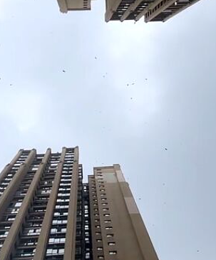 高空撒钱!33楼往下扔几十万现金,两人当场被抓(组图) - 2