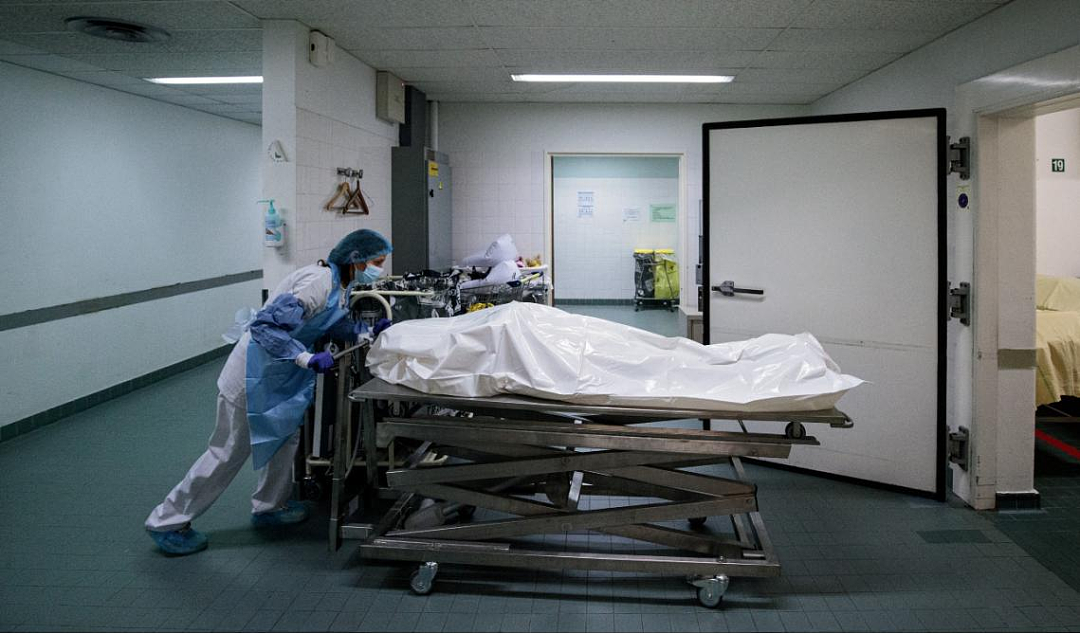 女子猝死巴黎热浪中，因缺少文件不能搬走尸体？邻居就这样和恶臭、虫子共处六天！ - 7