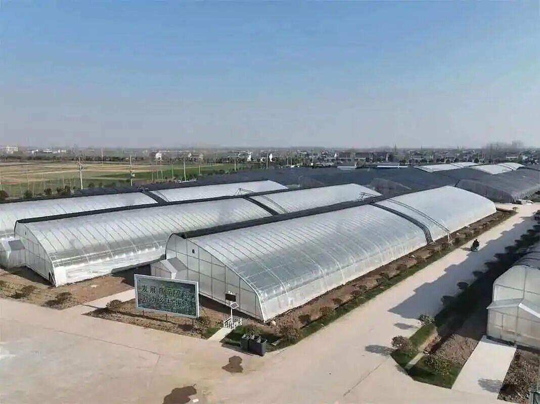 人均9.9元的中国菜市场,让老外们彻底沦陷 - 27