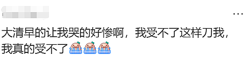 无数华人震惊又难过!那个备受喜爱的澳洲袋熊爷爷,突然去世了! - 9
