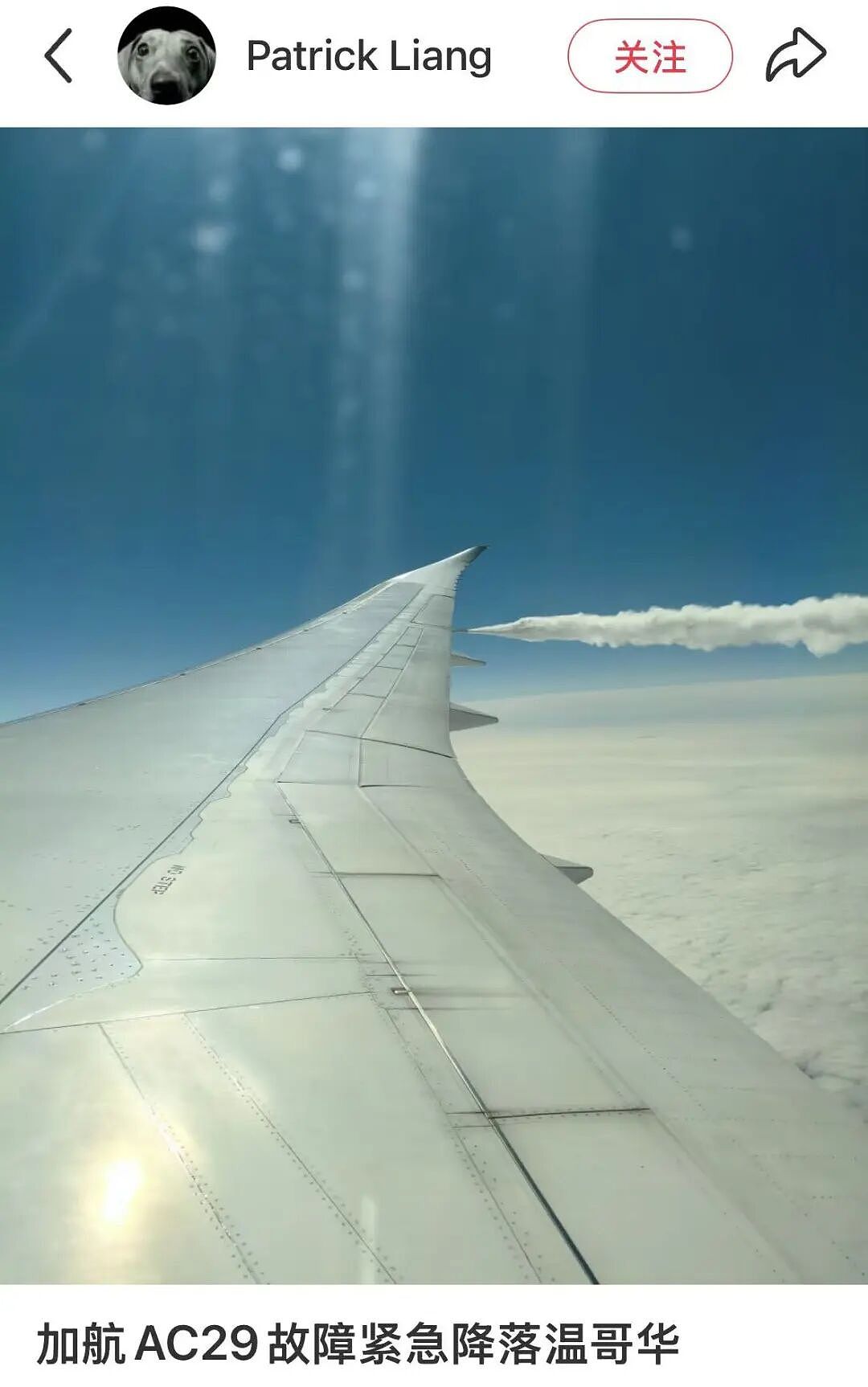 温哥华回国航班万米高空发生故障，紧急返航！空中放油！机长像要哭了！（组图） - 1