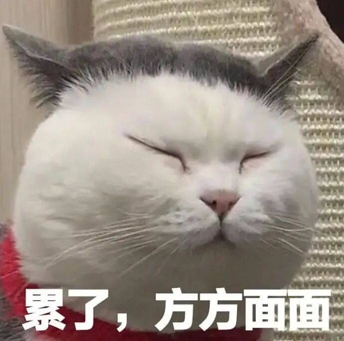 新加坡登顶全球最累国家!95%老板拒4天工作制、周均工时超45小时(组图) - 6