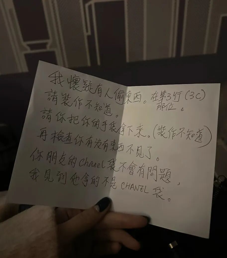 没摄像头没人管!华人飞国外,手机被顺走,有人丢了100万!国际航班成重灾区,机组人员也别信 - 21